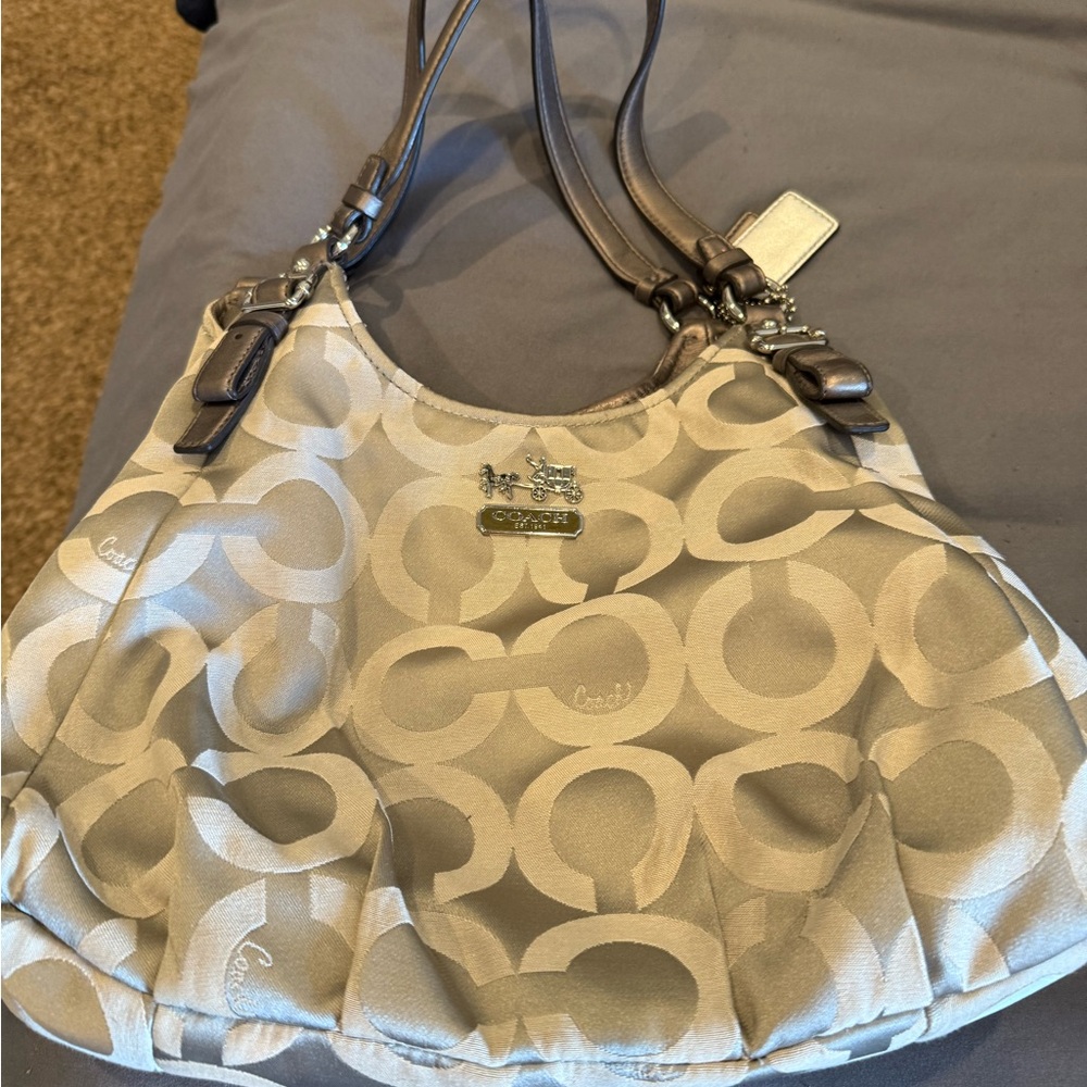 Silver/Grey Coach purse.